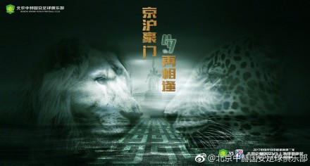 手机看片视频