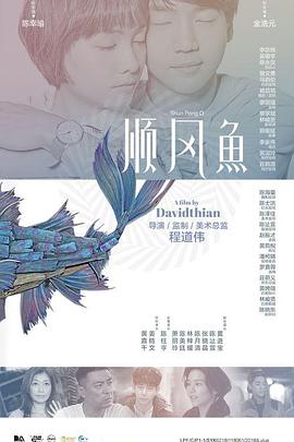 豆花影视