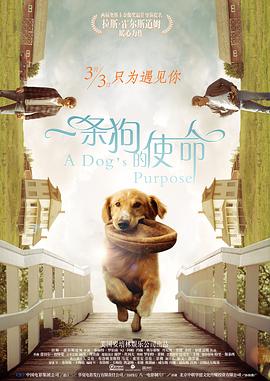 情妇