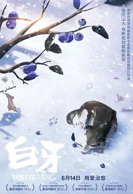 av免播放器