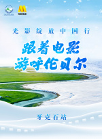 一级二级毛片
