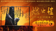 精品一区二区三区高清免费不卡