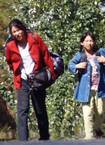 人人插人人插