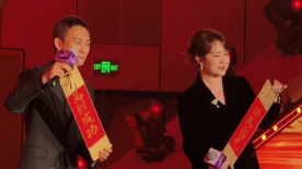 少妇啪啪av入口