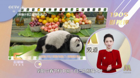国产美女视频一区二区二三区